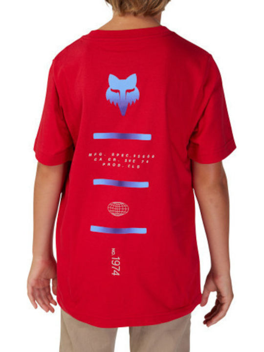 Fox Fox