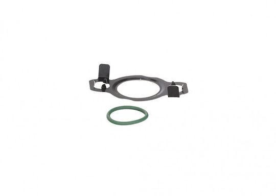 Set garnitură supapă EGR Citroën Jumper 14 1674250180