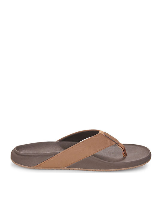 Herren-Badesandalen Anatomisch Braune