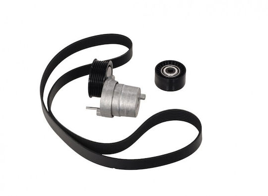 Curea De Mișcare Renault Clio V 19 Set 0 9/1.0 Tce 117201947r