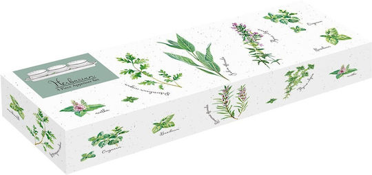 Easy-Life Herbarium Dessert Turm Ständer & Tabletts 3 Schlitze Ø10cm 4 Stück