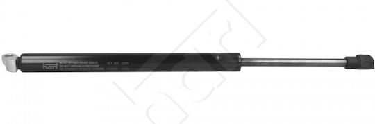 Αμορτισέρ Καπό Αποσκευών Bmw 5 1996-2003 51248159239
