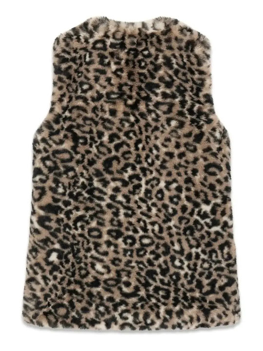 Guess Guess