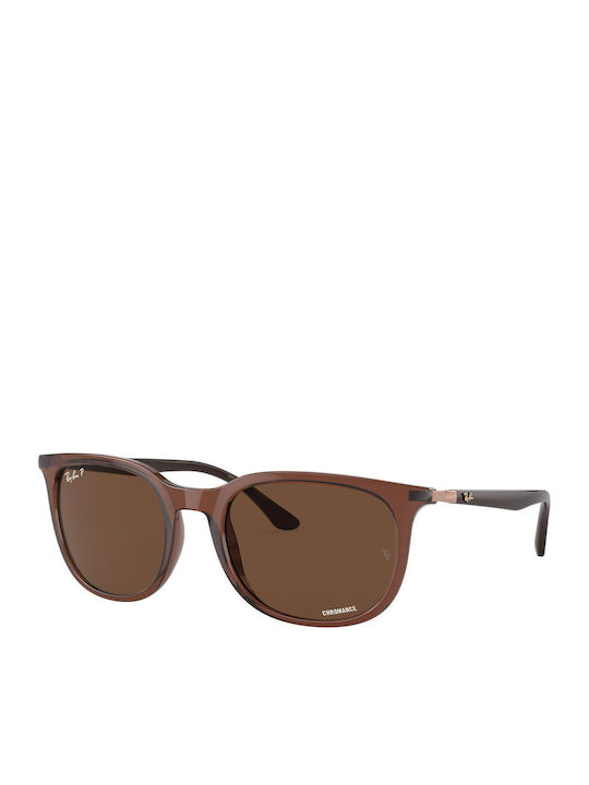Ray Ban Sunglasses with Brown Frame and Brown Polarized Lens