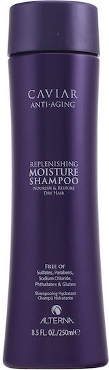 Alterna Caviar Anti-Aging Replenishing Moisture Shampoos für Trocken Haare 250ml