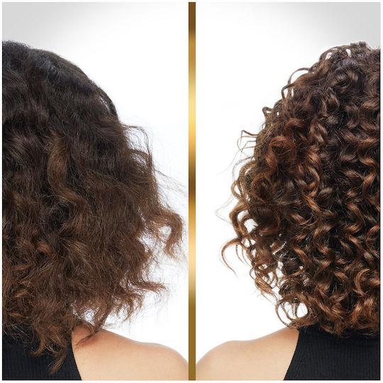 Pantene Pro V Hair Biology Frizz & Luminosidad Shampoos für Frizzy Haare 250ml