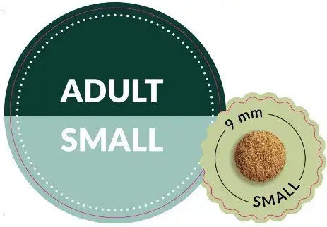 Dog Food Taste Sensations 10kg Dry Dog Food for Adult Dogs Small Breeds with Turkey