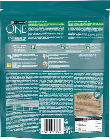 Purina One Dry Cat Food
