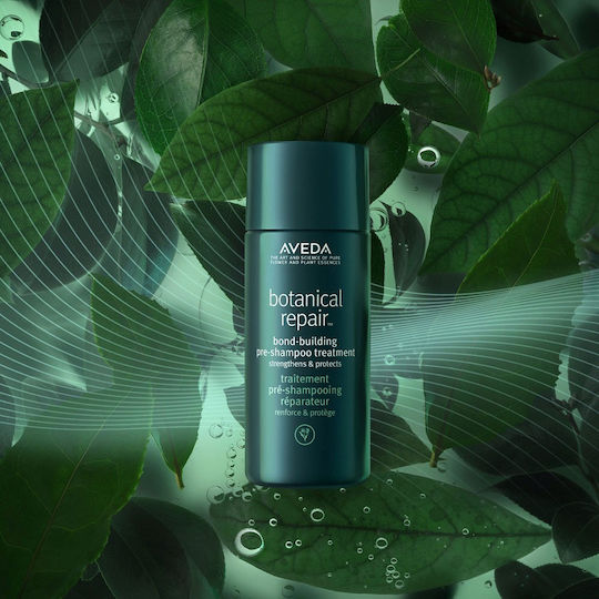 Aveda Σαμπουάν κατά της Πιτυρίδας & της Τριχόπτωσης για Λεπτά Μαλλιά 150ml
