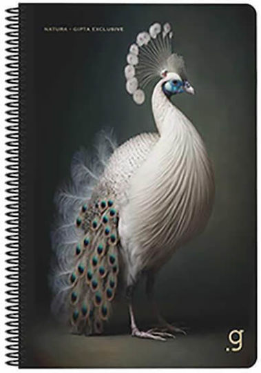 Gipta Spiral Notebook Ruled A4 50 Paper Sheets 2 Subjects (Various Designs or Colours)