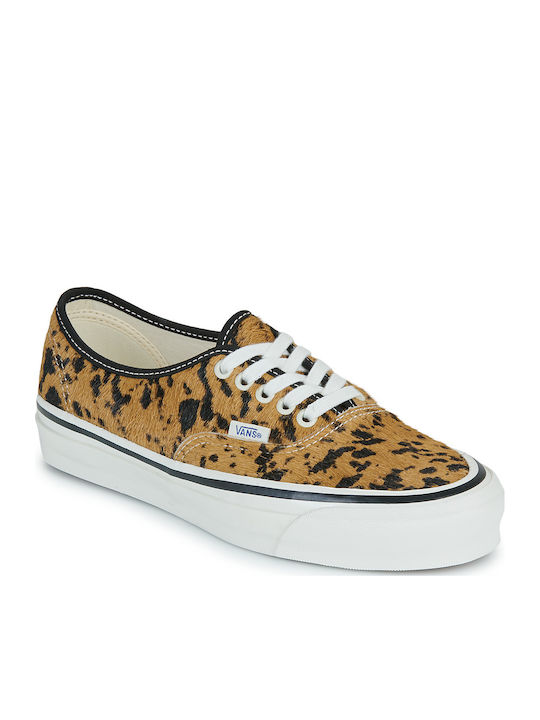 Vans Vans