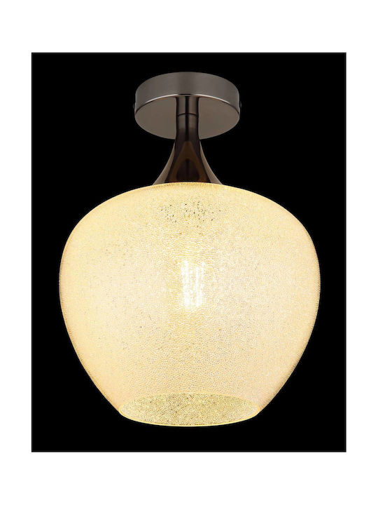 Globo Lighting Ceiling Mount Light Transparent with Socket E27