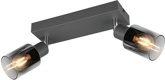 Trio Lighting Таванно осветление 27бр Сив с Фасунга E14