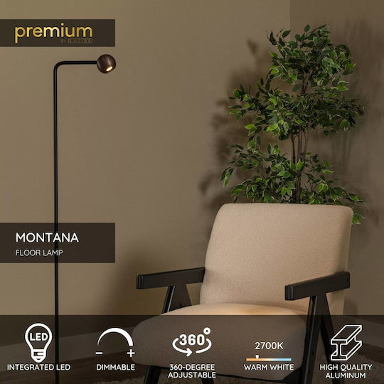 Lucide Lightning Montana Floor Lamp Brown