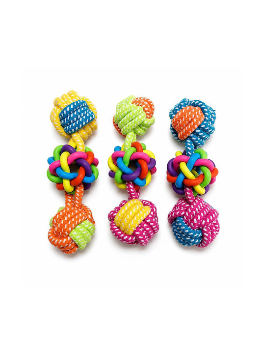 Chewing Toy