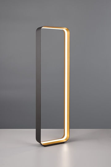 Cinque LED Floor Lamp with Natural White Light Black