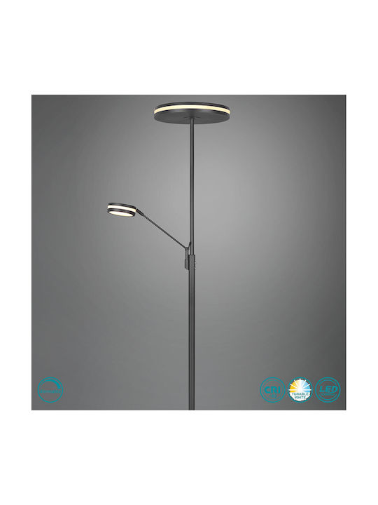 Trio Lighting Franklin LED Stehleuchte H181xB35.2cm. mit Einstellbarem Weißem Licht 4100lm Schwarz