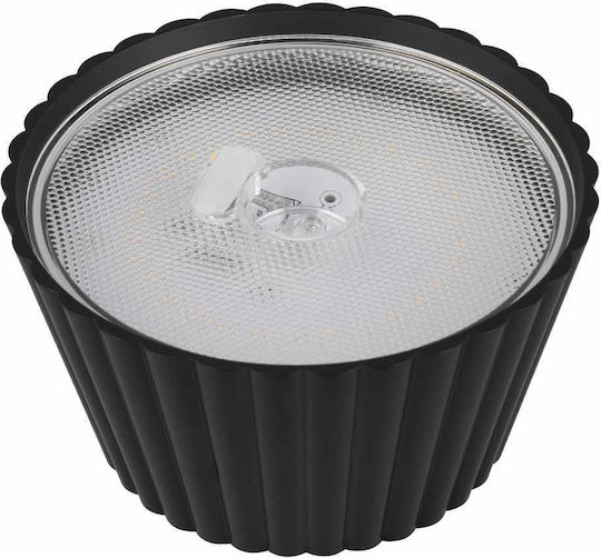Trio Lighting Διακοσμητικό Φωτιστικό LED Θερμό Λευκό 3000K 13x13x39εκ.