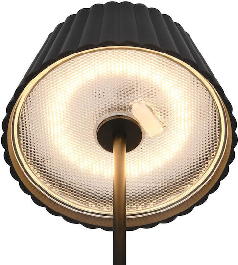 Trio Lighting Διακοσμητικό Φωτιστικό LED Θερμό Λευκό 3000K 13x13x39εκ.