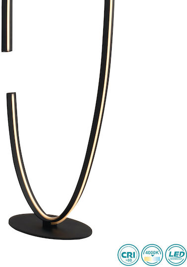 Fan Europe Clarke LED Floor Lamp H133xW42cm. with Natural White Light 3650lm Black