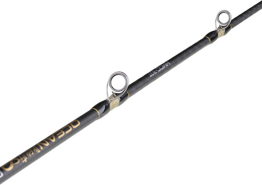 Seahawk Ocean Infinity Deep-j Fishing Rod for Casting / Jigging 1.65m 340gr