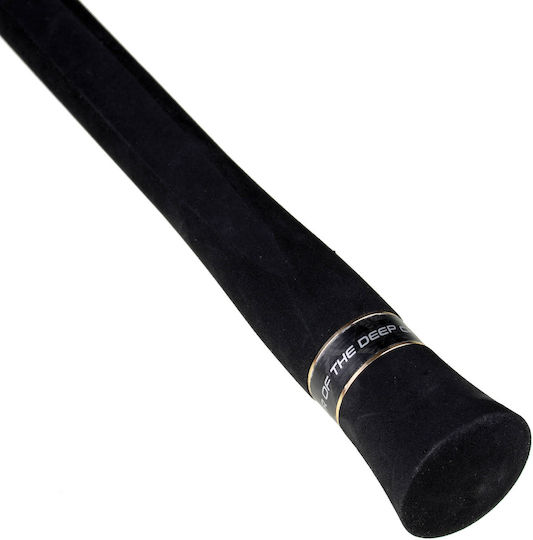 Seahawk Ocean Infinity Deep-j Fishing Rod for Casting / Jigging 1.65m 340gr