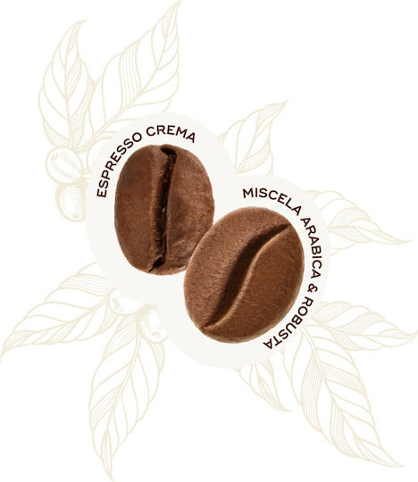 Hausbrandt Cafea Espresso Arabica Crema Măcinată 200gr