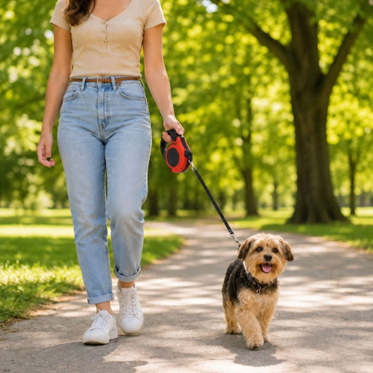 Verk Group Foldable Dog Leash/Lead Strap in Red Colour 5m up to 15kg