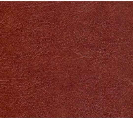 Synthetic Leather Set 5 Designs 17x27 Cm