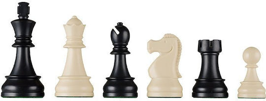 DGT Schach