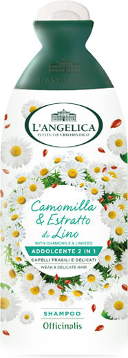 L' Angelica Conditioner Σαμπουάν Ενυδάτωσης για Όλους τους Τύπους Μαλλιών 250ml