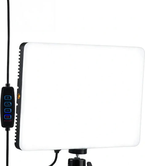 Tracer Traosw47707 LED-Panel 13W mit Lichtstrom 1190lmlm