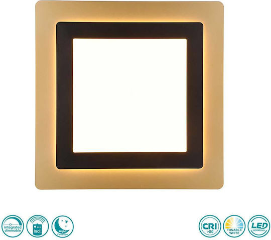 Trio Lighting Platz Draußen LED Panel 46W mit Warmes Weiß Licht 2700K