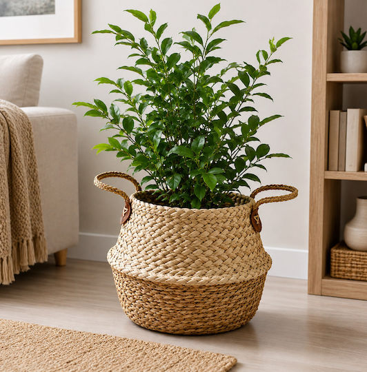 ForHome 331214 Ψάθινο