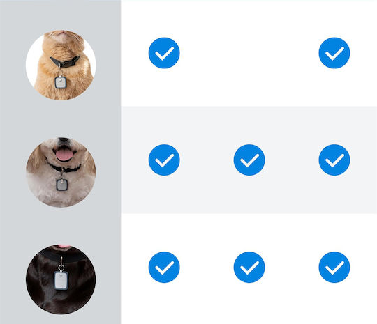 Elektrisches Hundehalsband