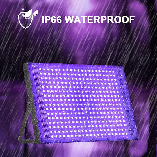Set 2 Proiectoare UV LED 300W IP66 395nm Lumină Neagră 395 Nm IP66 Rezistent la Apă SMD 2835 Unghi 120° Carcasă din Aluminiu Suport Reglabil 360° Petreceri Cluburi Discoteci Baruri Evenimente Lumină UV Violetă