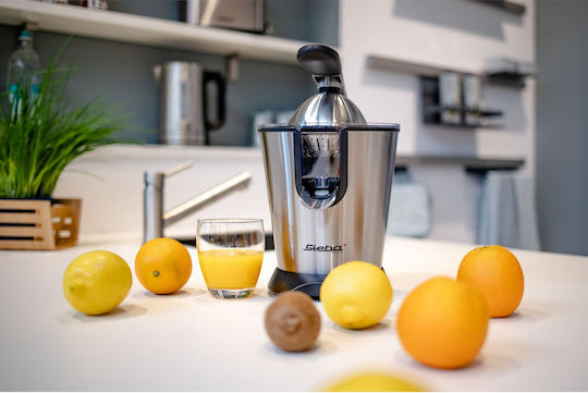 Steba ZP 2 Ηλεκτρικός Στίφτης 160W με Χωρητικότητα 750ml Inox Ασημί