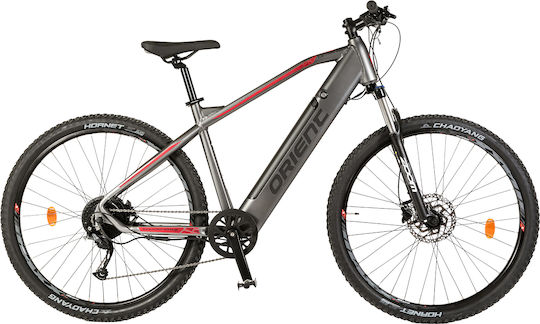 Orient Ultra 1.0 29" 2024 Gray Elektrisch Mountainbike