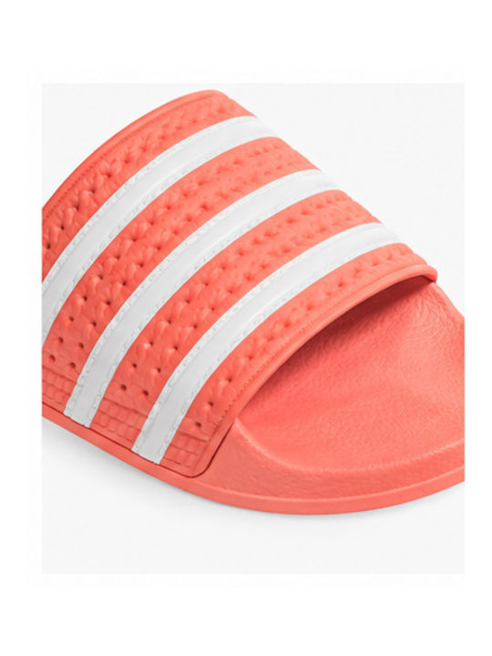 Slides in Orange Colour