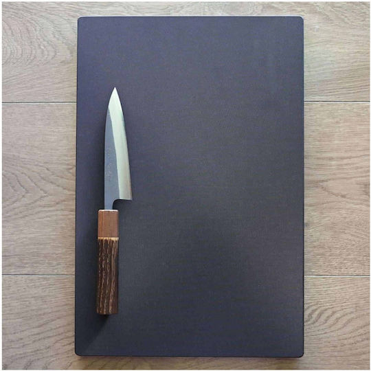 Hasegawa Tocătoare De Bucătărie Din Plastic Neagră 39x26cm