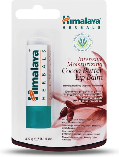 Himalaya Wellness Balsam de Buze 4,5g
