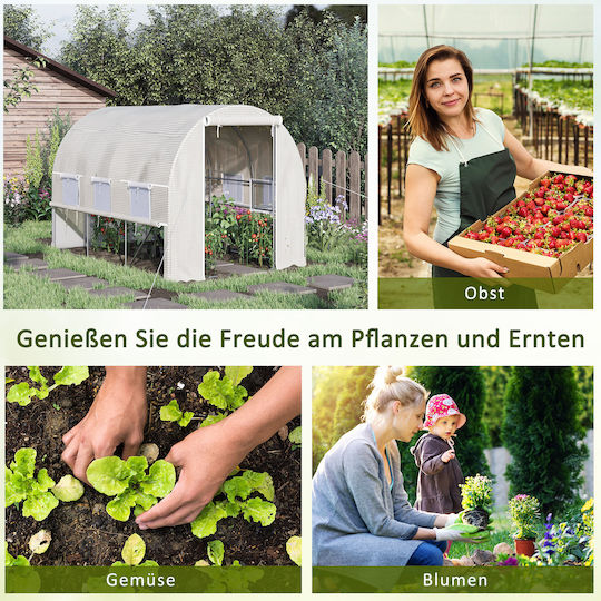 845-611WT Gewächshaus Tunnel 2.95x2x2m
