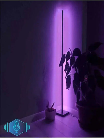 SteweHome Decorative Lighting RGB
