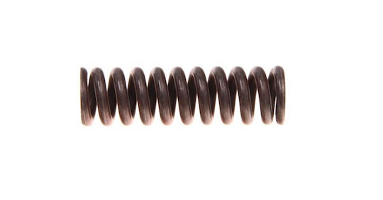 Gearbox Spring Bmw 5 E39 23311224817