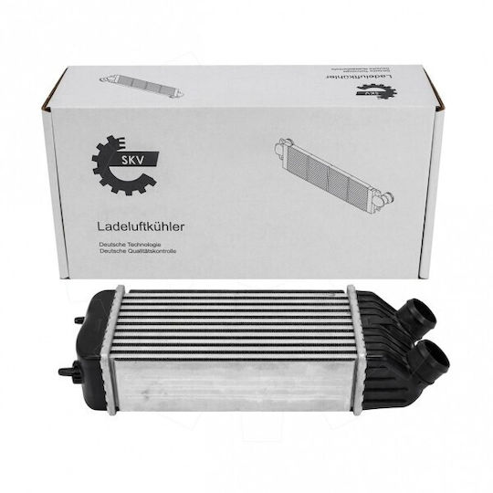 Ψυγείο Αέρα Υπερπλήρωσης Citroen C2 C3 I Ii Peugeot 1007 207 0384j4