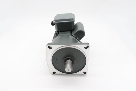 Maxima Motor