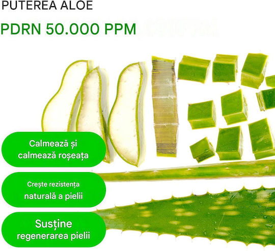Eqqualberry Aloe PDRN Serum Calmante și Hidratant pentru Față cu Centella Asiatica și Niacinamidă pentru Strălucire 30ml