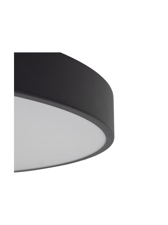 TK Lighting Таванна лампа LED TK Lighting Таванна лампа LED