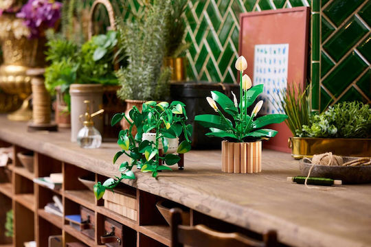LEGO Lego Botanische Sammlung Hängender Goldener Efeu Für 18+ Jahre 372 Stück