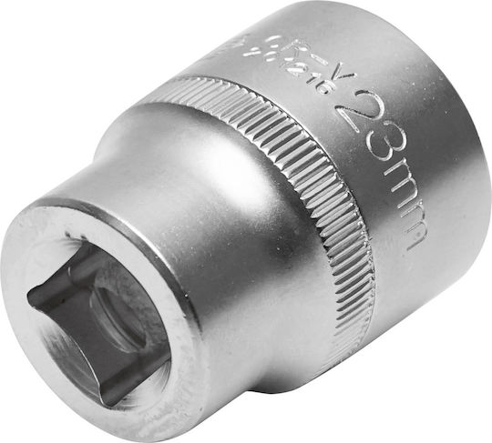 Hoteche Socket With Frame Host 1/2" Diameter 23 / 1/2"
